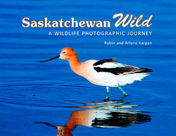 Saskatchewan Wild book cover